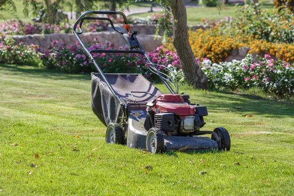 Expert Lawn Care in Buford for Every Season