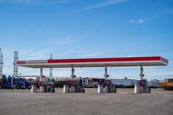 Why Businesses Rely on Distribution Service Toronto for Efficient Delivery