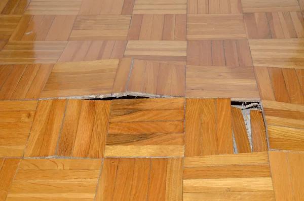 Find the Best Water Damage Company Near Me Today