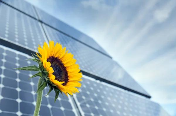Finding Helpful Service Information Before Investing in Solar Energy