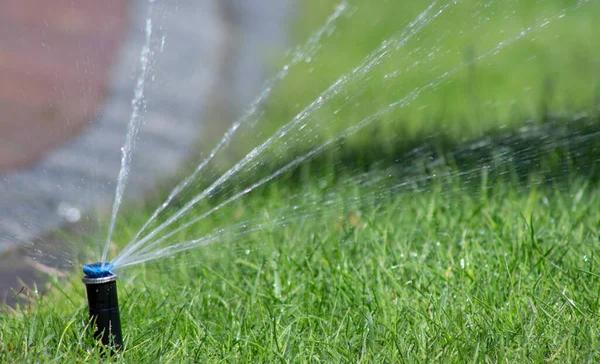 Professional water mitigation services for fast property recovery